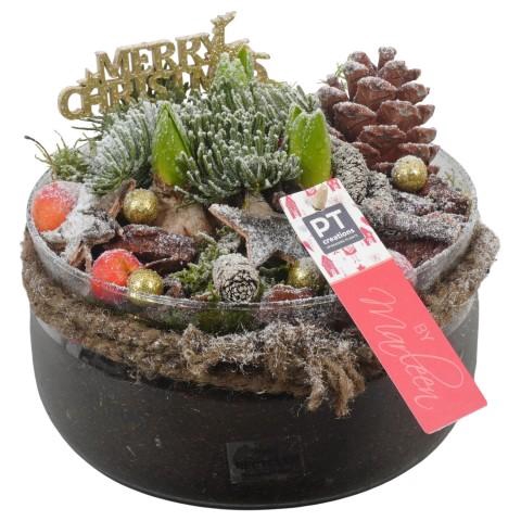 <h4>PTHCH6764 Arrangementen Hyacinthus</h4>