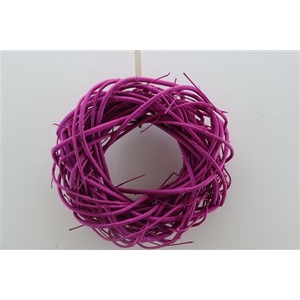 WR CORNUS PAINTED CERISE 30CM