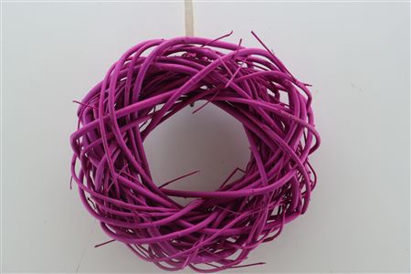 <h4>WR CORNUS PAINTED CERISE 30CM</h4>
