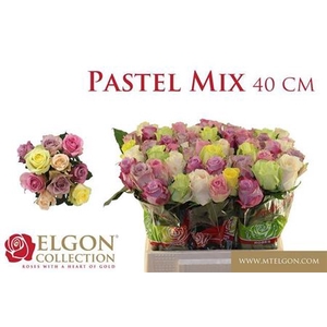Rosa grootbloemig +Pastelmix gemengd in bos
