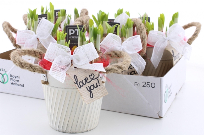 <h4>ARR N TETE A TETE</h4>