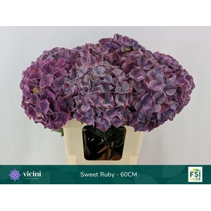 HYDR M MAG SWEE RUBY