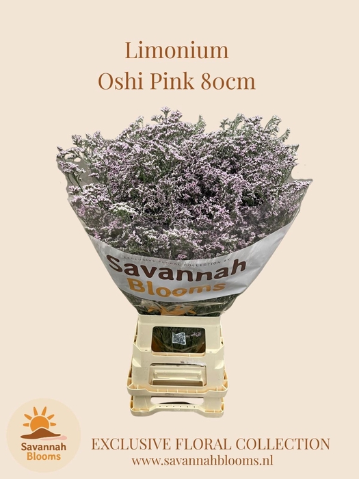 <h4>Lim Saf Oshi Pink</h4>