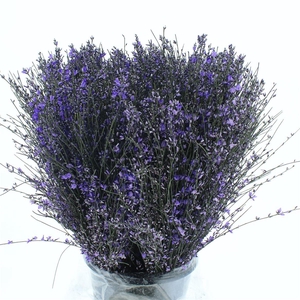 Ginster Milka P Bunch 400gram