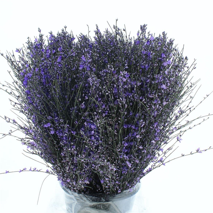 <h4>Ginster Milka P Bunch 400gram</h4>