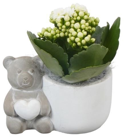 <h4>PTVMB2277 Arrangement Valentines-Mothersday in beton sierpot</h4>
