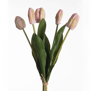 Af Tulip Par Bnd X5 L40cm Pink