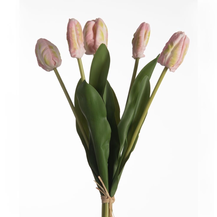 <h4>Af Tulip Par Bnd X5 L40cm Pink</h4>