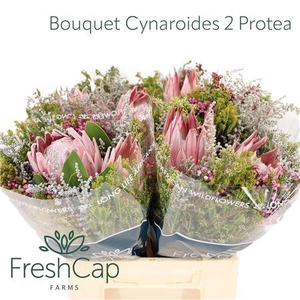 Bouquet Cynaroides 2 Protea