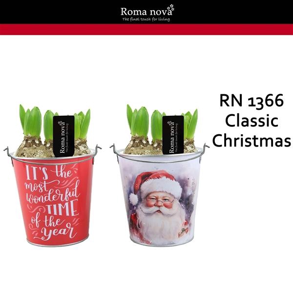 <h4>Arrangementen Hyacinthus 6%</h4>