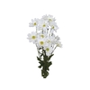 CRISANTEMO WHITE REAGAN 080 CM