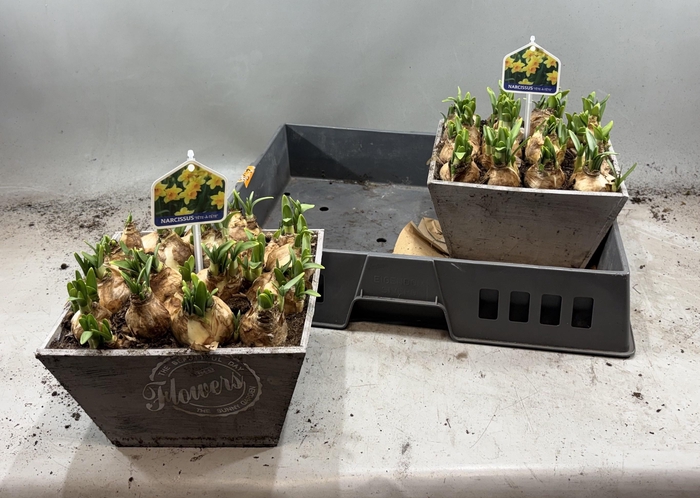 <h4>ARR N TETE A TETE</h4>