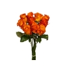 ROSA ORANGE WAVE 040 CM ESTUFA