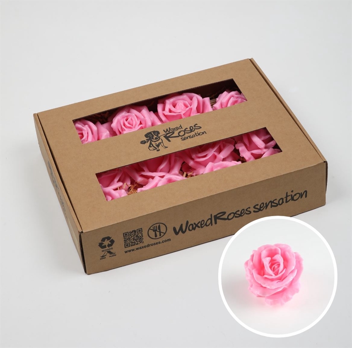 <h4>Zijde Wax-Rozen Zijde Wax Roze</h4>