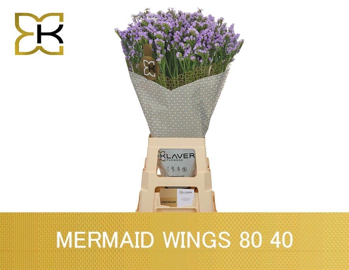 <h4>LIM S MERMAID WINGS</h4>
