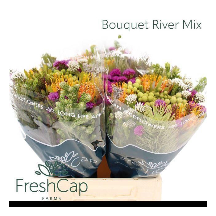 <h4>Kaaps Groe Gem In Bs</h4>