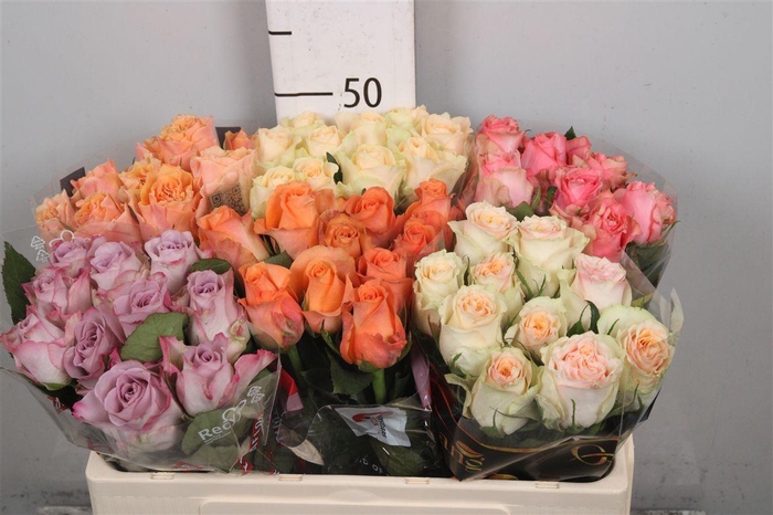 <h4>R Gr Gemengd In Fust</h4>