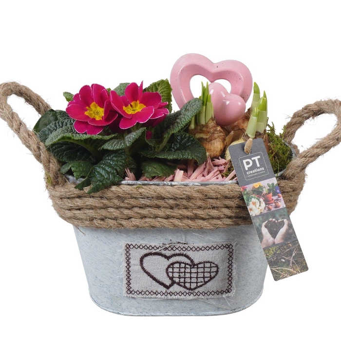 <h4>PTVO3602 Arrangement Valentine Outdoor in metalen pot</h4>