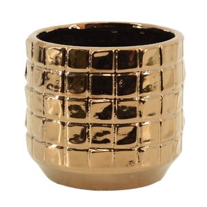 Toegevoegde waarde - Janneke 12 cm (Top blend-Collection)