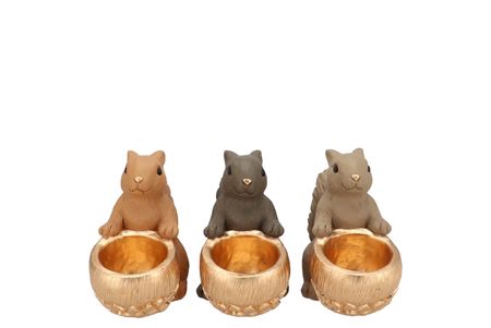 <h4>Jingle Woods Brown Mix Squirrel Sitting Ass 17x9x1</h4>