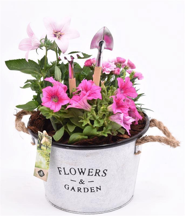 <h4>Zink teil Flowers & Garden 22cm</h4>