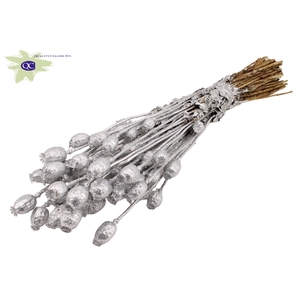 Papaver per bunch Silver + Glitter