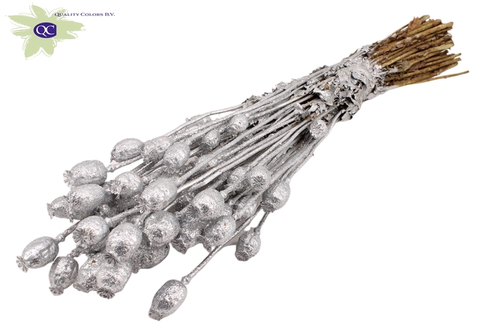 Papaver per bunch Silver + Glitter