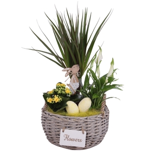 Easter Arr. Indoor Willow Basket Round Flowersign Ø24cm 3PP