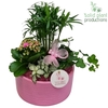 CH003 Loes Pink