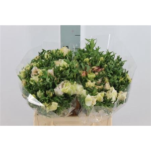 Anemone Mistral White