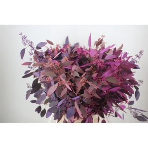 Euca Populus Berry 200gr Mix Pink P Bunch