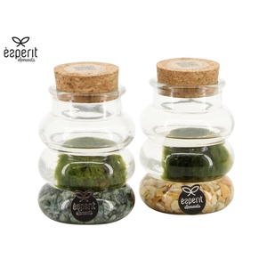 90698: Marimo arrangement