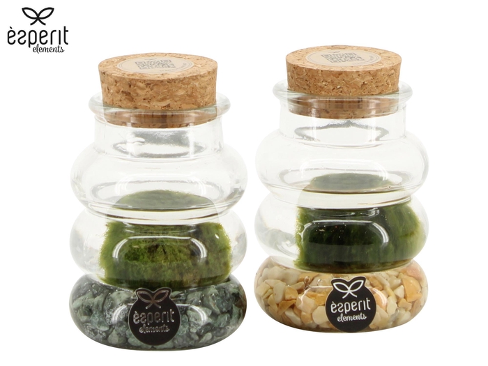 <h4>90698: Marimo arrangement</h4>