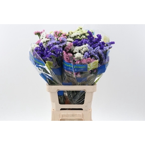 Lim S Crystal Rainbow Mix