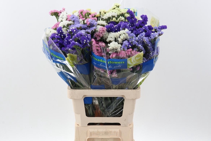 <h4>Lim S Crystal Rainbow Mix</h4>