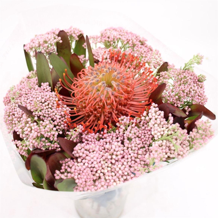 <h4>Bouquet Incl 1 Pin With Ozo & Safari</h4>