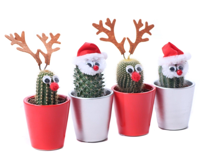 <h4>Cactus 5,5 cm rendier en kerstman in zilver en rode keramieke po</h4>