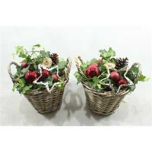 6479 HOOG ROTAN ROOD