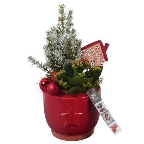 <h4>PTCHR7219 Arrangement Christmas Red in keramiek po</h4>