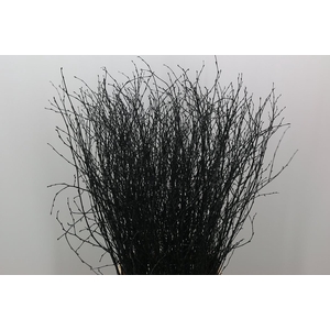 Berk Black