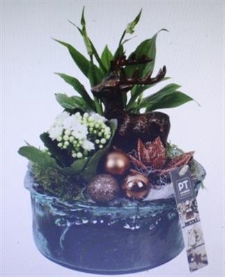 <h4>9847 BRONS BLUE GLAS</h4>