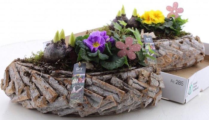 <h4>ARR PL IN SCHAAL</h4>