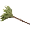 Umbrella Paraplu Fern