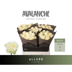 R Gr Avalanche+ Super