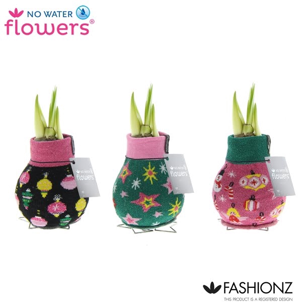 <h4>No Water Flowers® Fashionz Patternz Disco</h4>