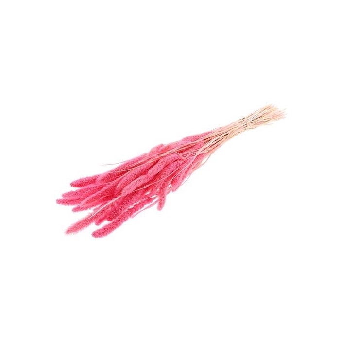 <h4>Bunch Setaria Slv L75 150g</h4>