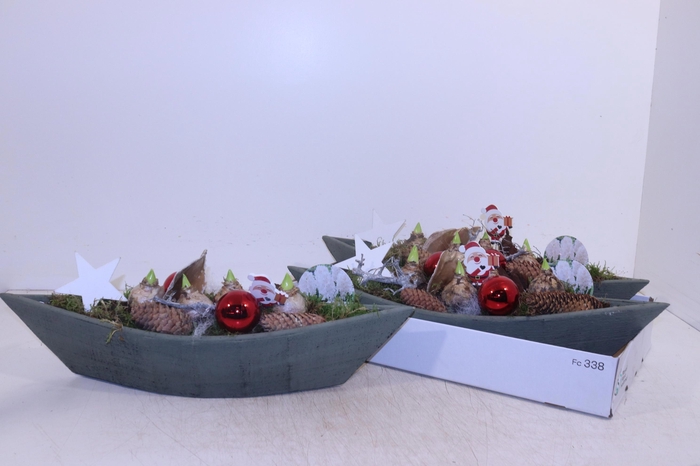 <h4>ARR HYACINTH</h4>