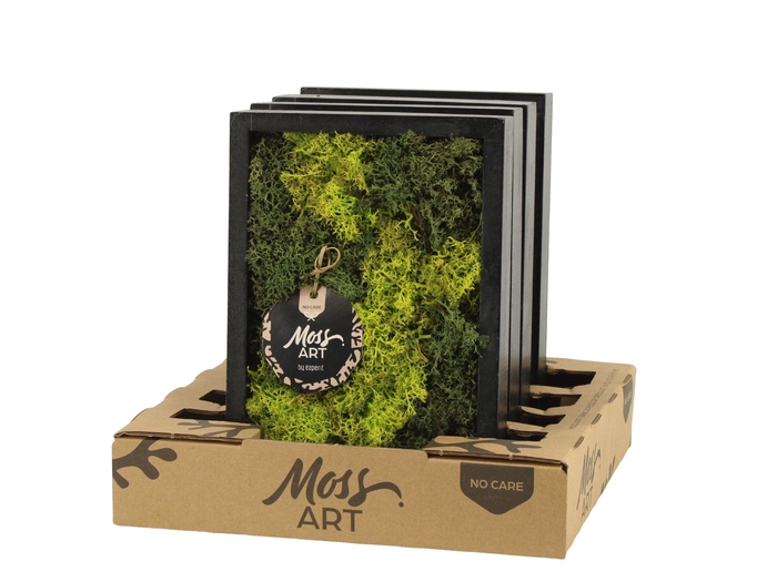 <h4>90787: Moss Art Rectangular D24</h4>