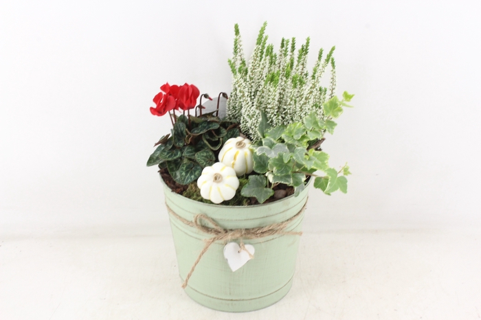 <h4>arr4 Outdoor VL - Zink ton green hart</h4>