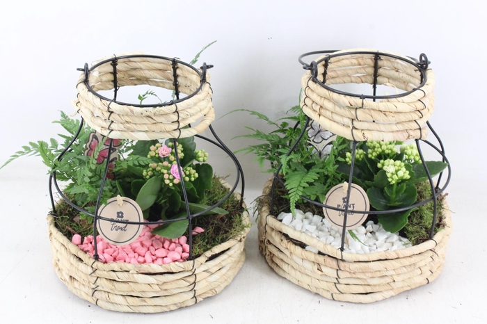 <h4>arr2 PL - Mand metaal windlicht - roze/wit</h4>